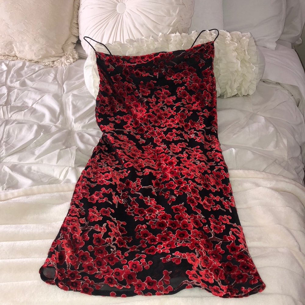 Princess Polly Dress